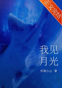 《我见月光》