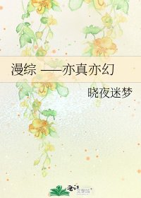 《漫综 ——亦真亦幻》