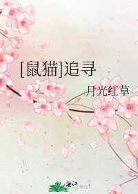 [鼠猫]追寻