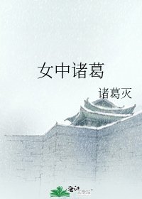 《女中诸葛》