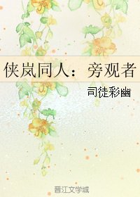 （侠岚同人）侠岚同人：旁观者