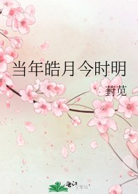 当年皓月今时明