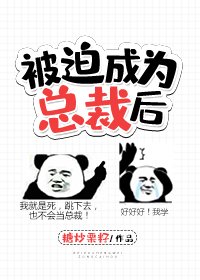 《被迫成为总裁后》