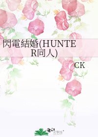 《閃電結婚(HUNTER同人)》