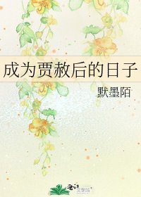 成为贾赦后的日子