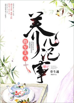 《将军夫人养儿记事》