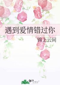 《遇到爱情错过你》