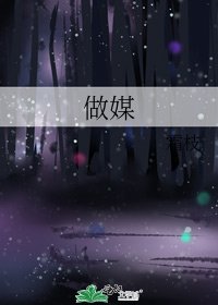 做媒
