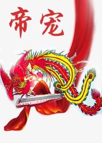 《帝宠》