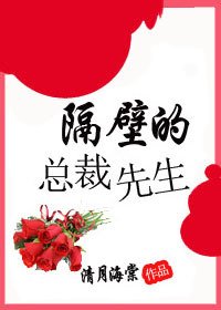 《隔壁的总裁先生》