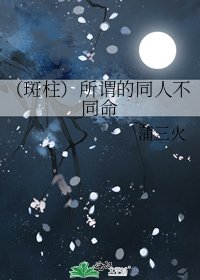 《(斑柱)所谓的同人不同命》