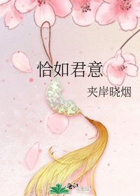 《恰如君意》