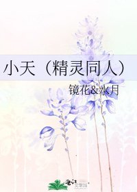 小天（精灵同人）