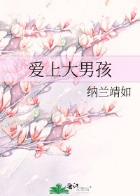 爱上大男孩
