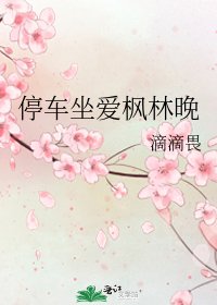 《停车坐爱枫林晚》