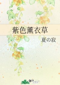 紫色薰衣草