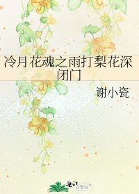 《冷月花魂之雨打梨花深闭门》