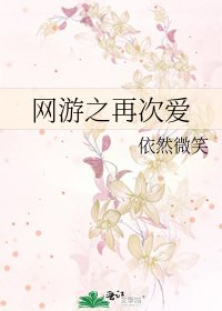 《网游之再次爱》