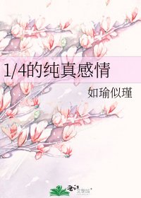 《1/4的纯真感情》