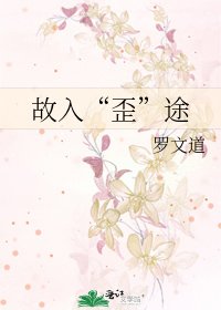 《故入“歪”途》