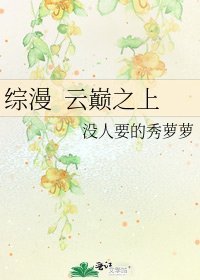 《综漫 云巅之上》