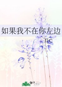 《如果我不在你左边》