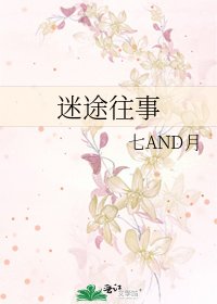 《迷途往事》