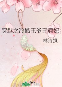 《穿越之冷酷王爷丑颜妃》