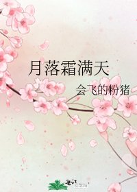 《月落霜满天》