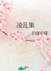《凌乱集》