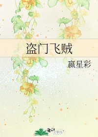 《盗门飞贼》