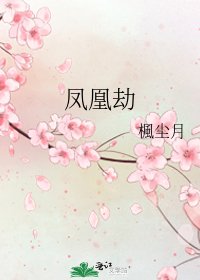 《凤凰劫》