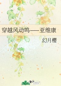 穿越风动鸣——亚维康