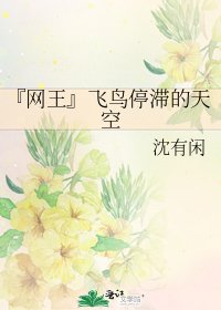 《『网王』飞鸟停滞的天空》
