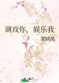 调戏你，娱乐我