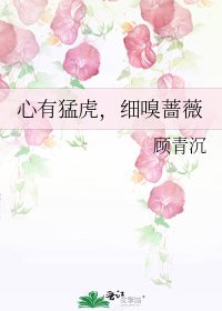 《心有猛虎,细嗅蔷薇》