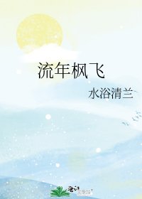 流年枫飞
