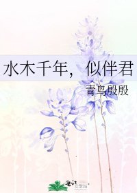 水木千年，似伴君
