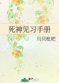 《死神见习手册》