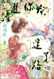 《撞进你怀迷了路》