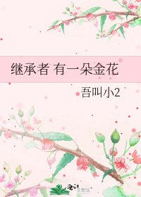 《继承者 有一朵金花》