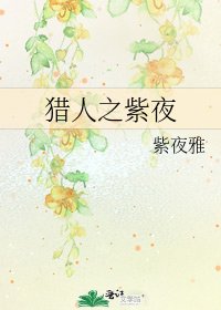《猎人之紫夜》