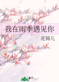 《我在雨季遇见你》