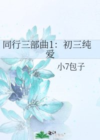 《同行三部曲1:初三纯爱》