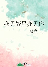 《我见繁星亦见你》