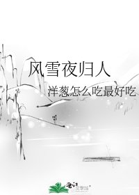 《风雪夜归人》