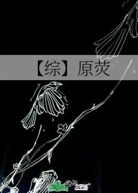 《【综】原荧》