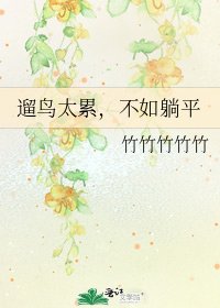 《遛鸟太累,不如躺平》