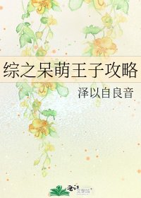 综之呆萌王子攻略