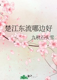 《楚江东流哪边好》